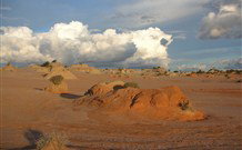 Mungo Lodge Tours And Accommodation - New Castle Holiday 7