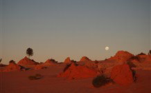 Mungo Lodge Tours And Accommodation - New Castle Holiday 8