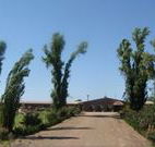 Newell Motor Inn - Narrandera - New Castle Holiday