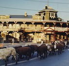 The Commercial Hotel Coonamble - Coonamble - New Castle Holiday