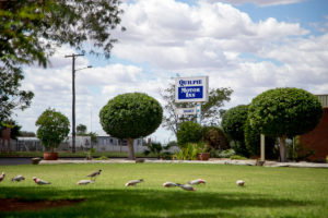 Quilpie Motor Inn - New Castle Holiday 4