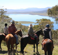 Reynella Homestead and Horseback Rides - New Castle Holiday