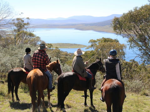 Reynella Homestead And Horseback Rides - New Castle Holiday 0