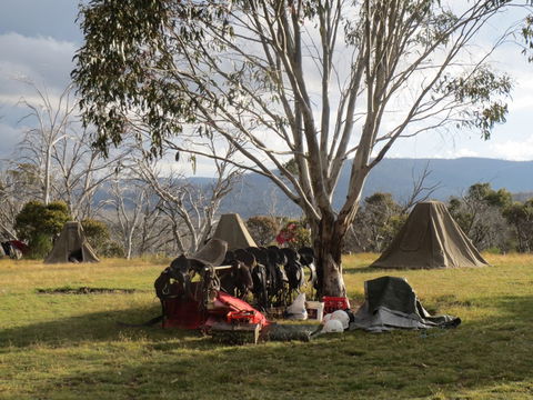 Reynella Homestead And Horseback Rides - New Castle Holiday 1