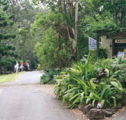 Tamborine Mountain Caravan  Camping - New Castle Holiday