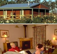 Twin Trees Country Cottages - New Castle Holiday