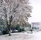 Maneroo Motel - New Castle Holiday