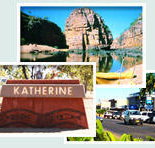 Red Gum Tourist Park - New Castle Holiday