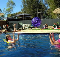 Kingston On Murray Caravan Park - New Castle Holiday
