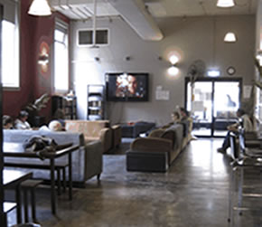 Big Hostel - New Castle Holiday 2