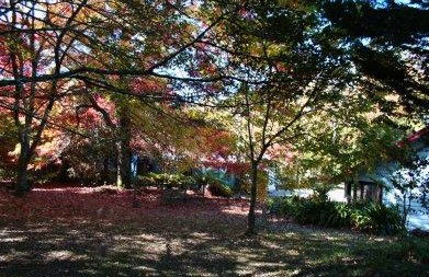 Kubba Roonga Blackheath - New Castle Holiday 4