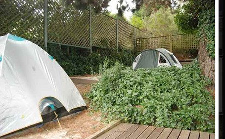 The Flying Fox Backpackers - New Castle Holiday 2