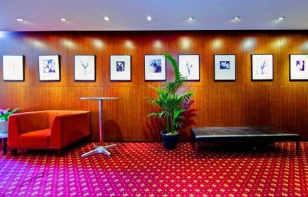 Seasons Botanic Gardens - New Castle Holiday 1