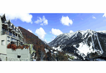 The Lantern Apartments - New Castle Holiday