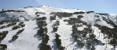 Thredbo Alpine Hotel - New Castle Holiday