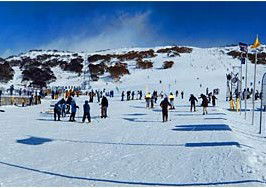 Smiggins Hotel And Chalet Apartments - New Castle Holiday 3