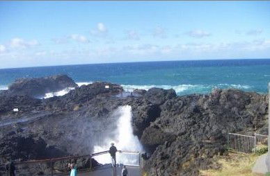 Kiama Ocean View Motor Inn - New Castle Holiday 1
