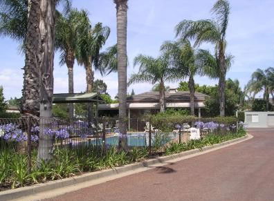 Exies Bagtown - New Castle Holiday 4