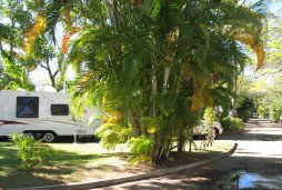 Rowes Bay Caravan Park - New Castle Holiday 3