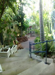 Reef Lodge Backpackers - New Castle Holiday 1