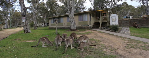 Kosciuszko Tourist Park - New Castle Holiday 5