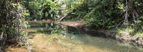 Mission Reef Resort - New Castle Holiday 4