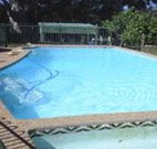 Tree Motel - Narooma - New Castle Holiday