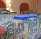 Yamba Twin Pines Motel - Yamba - New Castle Holiday
