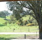Hosanna Farm Retreat - New Castle Holiday