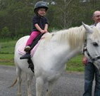 Mansfield Cottage Barrington Tops Accommodation - New Castle Holiday