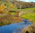 Ralda's Cottage - New Castle Holiday