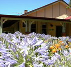 Red Hill Organics Farmstay - New Castle Holiday