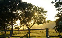 Rocky Mountains - New Castle Holiday 4