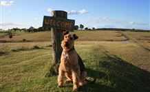 Rocky Mountains - New Castle Holiday 7