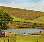 Sanctuary Hill Retreat - New Castle Holiday