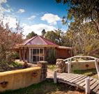 Starline Alpaca Farm Stay - New Castle Holiday