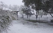 Tirrintippin - New Castle Holiday 0