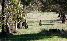 Amazing Country Escapes - Lakeview Luxury Cabins - New Castle Holiday 2