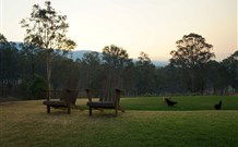 Elfin Hill - New Castle Holiday 0