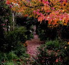 Gulgong B and B - New Castle Holiday