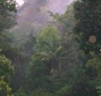 Havans Ecotourist Retreat - - New Castle Holiday