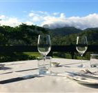 Hillcrest Mountain  View Retreat - New Castle Holiday