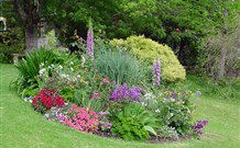 Karralika Springs B And B Mountain Retreat - - New Castle Holiday 0