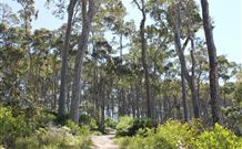 Lilli Pilli Beach Bed And Breakfast - New Castle Holiday 5