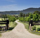 Pemberley Grange Hunter Valley Getaway - New Castle Holiday