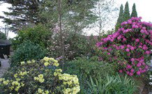 Silvermere Guesthouse - - New Castle Holiday 1