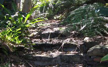 Studio Cottages - New Castle Holiday 5