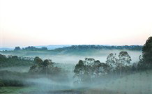 The Shed B And B - New Castle Holiday 2