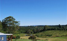 The Shed B And B - New Castle Holiday 1