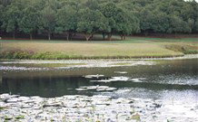 The Shed B And B - New Castle Holiday 5